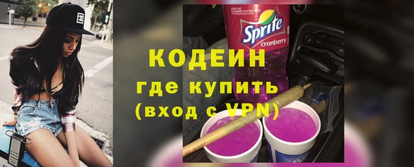 спиды Бородино