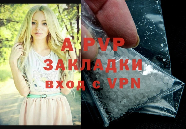 спиды Бородино