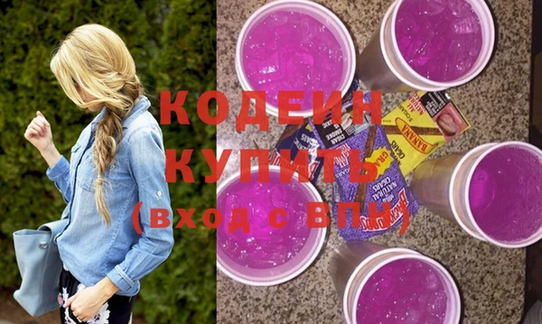 спиды Бородино