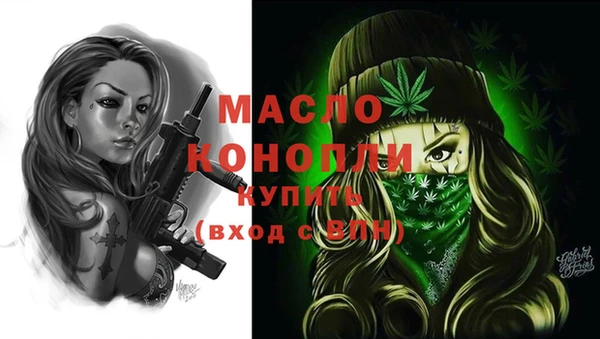спиды Бородино