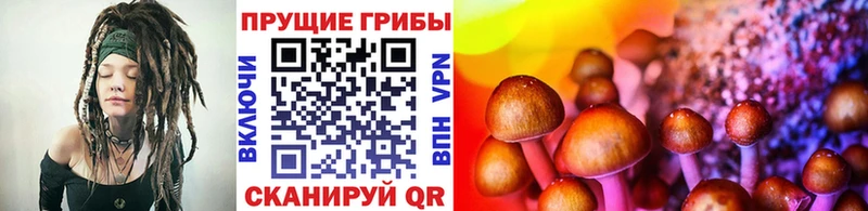 Галлюциногенные грибы MAGIC MUSHROOMS  Купить закладки  Малоярославец 