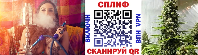Купить где  Малоярославец  Марихуана VHQ 